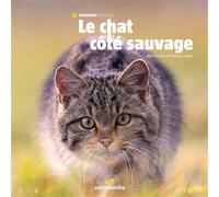 Le chat côté sauvage