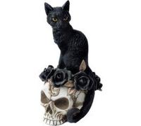Le chat fantôme de Grimalkin Multicolore G