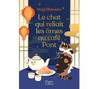 Le chat qui reliait les âmes au café Pont – Roman best-seller japonais tendre et poétique