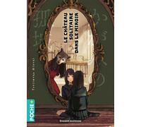 Le Château Solitaire Dans Le Miroir