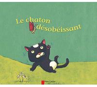 Le chaton désobéissant