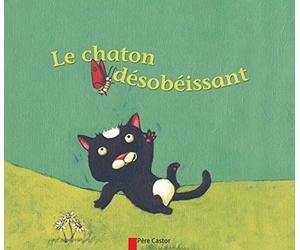 Le chaton désobéissant