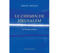Le chemin de Jérusalem. Une théologie politique