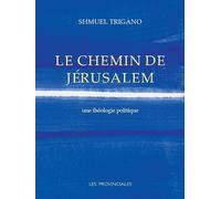 Le chemin de Jérusalem. Une théologie politique