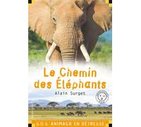 Le chemin des éléphants - Alain Surget - Calligram - Poche - Roman junior dès 9 ans