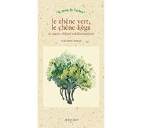 Le chêne vert, le chêne liège et autres chênes méditerranéens