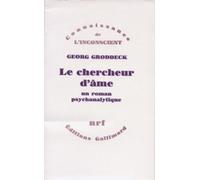 Le chercheur d'âme: Un roman psychanalytique