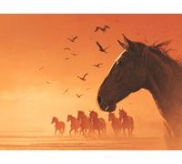 Le cheval du soleil couchant Peinture par Numéros Adulte Kit 50x70cm Activité Manuelle, DIY Coloriage Par Numero pour Débutants Enfant Kits, Avec Peintures Acryliques et Pinceaux Décoration F559