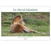 Le cheval islandais dans son environnement naturel (Calendrier mural 2027 DIN A3 vertical), CALVENDO calendrier mensuel: Un calendrier spécialement ... ces animaux dans leur milieu naturel.