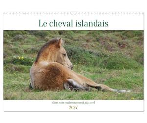 Le cheval islandais dans son environnement naturel (Calendrier mural 2027 DIN A3 vertical), CALVENDO calendrier mensuel: Un calendrier spécialement ... ces animaux dans leur milieu naturel.