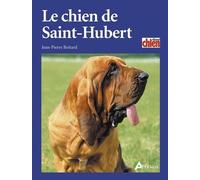Le chien de St Hubert