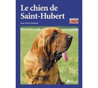 Le chien de St Hubert