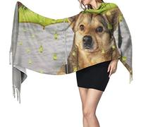 Le chien est sous un parapluie de kiwis. Il pleut. Des gouttes de jus au lieu de gouttes de pluie. Écharpe en cachemire pour femme, châle, élégant, chaud et doux, grande couverture.