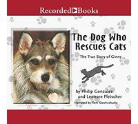 Le Chien Qui Sauve Les Chats : la véritable Histoire de Ginny [Import]