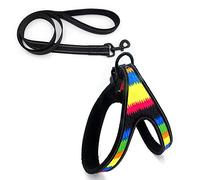 Le Chien Tire, Ensemble de laisses réfléchissantes for Chiens, Harnais et Laisse for la Marche l'entraînement des, Gilet for Chiots Grands, for Animaux Compagnie ES(F,L)