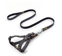 Le Chien Tire, Ensemble Laisse et Harnais for Animaux de Compagnie, Ensemble réglable for Chien, Gilet for, Taille S, M, L, for la Marche Le Dressage du(Black,M)
