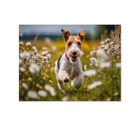 Le Chiot a couru à Toute Vitesse sur l'herbe，Puzzles Personnalisés, 1000 Pièces Puzzle en Papier, pour Enfants Adultes Famille Jeu Difficulté Défi Puzzles（38x26cm）-F81