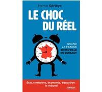Le choc du réel Hervé Sérieyx (Auteur)