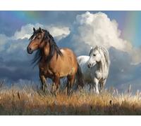 Le ciel des chevaux Peinture par Numéros Adulte Kit 50x60cm Activité Manuelle, DIY Coloriage Par Numero pour Débutants Enfant Kits, Avec Peintures Acryliques et Pinceaux Par Pour, Décoration Mura F584