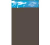 Le ciel est partout Jandy Nelson (Auteur), Nathalie Peronny (Traduction)