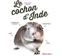 Le cochon d'Inde Marie-Sophie Germain (Auteur)
