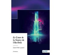 Le Coeur de la Source de l'Au-Delà - David Petit-Laurent - Nombre 7 - broché - Roman