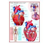 Le coeur - Puzzle 1000 pièces
