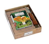 Le coffret Larousse des champignons: 1 livre et 1 couteau à champignons