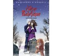 Le collège maléfique Cassandra O'Donnell (Auteur), Jean-Mathias Xavier (Illustration)