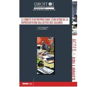 Le comité d'entreprise dans l'évolution de la représentation collective des sala - Vincent Bonnin - Univeau Poitiers Pu.juridiques - broché - Etude