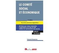 Le Comité Social Et Économique - 20 Fiches Pour Comprendre Le Fonctionnement De Cette Instance