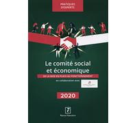 Le comité social et économique 2020: DE LA MISE EN PLACE AU FONCTIONNEMENT