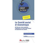 Le comité social et économique (CSE): 20 fiches afin de mieux comprendre l'organisation et le rôle de cette instance de représentation des salariés (2020)