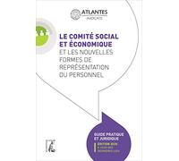 Le comité social et économique et les nouvelles formes de représentation du personnel: Guide pratique (édition 2020 à jour des dernières lois)