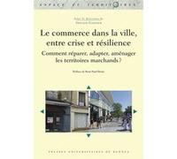 Le commerce dans la ville, entre crise et résilience: Comment réparer, adapter, aménager les territoires marchands ? Préface de René-Paul Desse