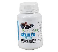 Le Comptoir de l'Apothicaire Anti-Stress Bio 200 Gélules