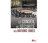 Le Conseil de sécurité des Nations Unies