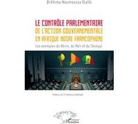 Le contrôle parlementaire de l’action gouvernementale en Afrique noire francophone Bréhima Noumoussa Diallo (Auteur), Meïssa Diakhaté (Préface)