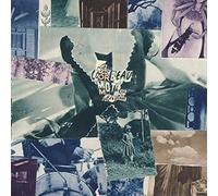 Le Corbeau - Moth on the Headlight