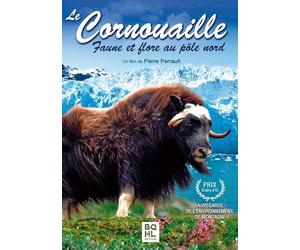Le cornouaille - Faune et flore au pôle nord