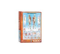 LE CORPS HUMAIN - 1000 pcs - 9+ - #6000-1000