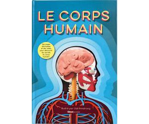 Le corps humain - Ruth Symons - Glénat Jeunesse - cartonné - Document jeunesse