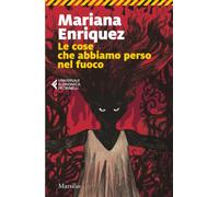 Le cose che abbiamo perso nel fuoco