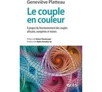 Le couple en couleur: A propos du fonctionnement des couples africains, européens et mixtes