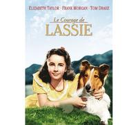 Le Courage De Lassie