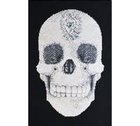 Le Crâne De Cristal