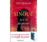 Le Cri des pierres: INCH ALLAH TOME 2