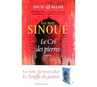 Le Cri des pierres: INCH ALLAH TOME 2