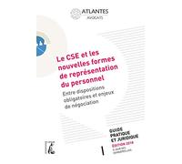 Le CSE et les nouvelles formes de représentation du personnel: Entre dispositions obligatoires et enjeux de négociation