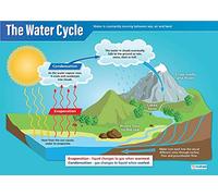 Le cycle de l'eau | Affiches scientifiques | Papier laminé brillant mesurant 850 mm x 594 mm (A1) | Graphiques scientifiques pour la salle de classe | Tableaux éducatifs par Daydream Education
